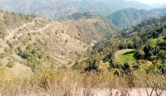 खरको छानोमुक्त हुँदै गुल्मी