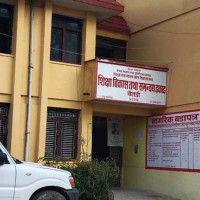 कैलालीका किसान  धान भित्र्याउन व्यस्त