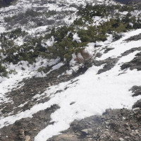 नीतिगत समस्याले तनहुँ जलविद्युत् प्रसारण लाइनमा ढिलाइ