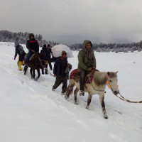 कार्यान्वयन हुँदैनन् अधिकांश आदेश
