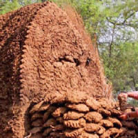 ज्वालादेवी माविमा प्रतिमा स्थापना र छात्रवृत्ति घोषणा