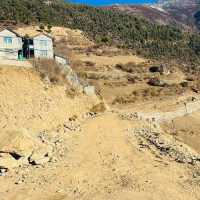 अपरिहार्य छ लोकतन्त्र