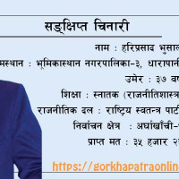 फेवा किनाराका अनधिकृत संरचना हटाउन निर्देशन