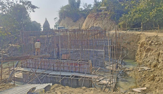 गुराँस जोगाउन स्थानीय सरकारको अपिल