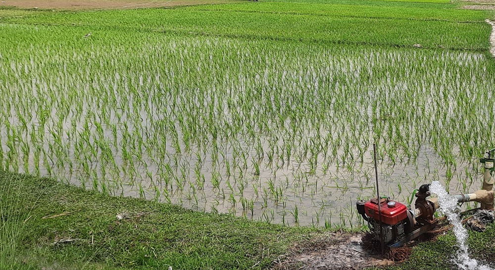 पानी पर्दा चैते धानबालीलाई राहत