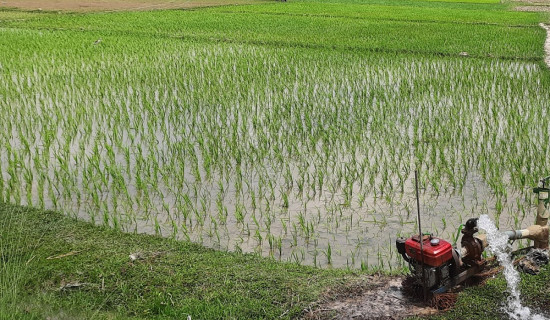 पानी पर्दा चैते धानबालीलाई राहत