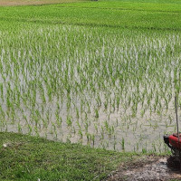 अब नझुक्याउन टीकापुरवासीको अनुरोध