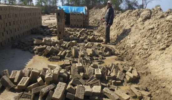 बेमौसमी वर्षाले बाँकेमा नौ करोड बराबरको इँटा नष्ट