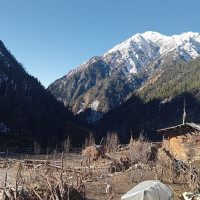 दाङमा वर्षाका कारण दुई करोड बढीको इँटामा क्षति