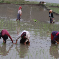 फागुपूर्णिमा होली आज