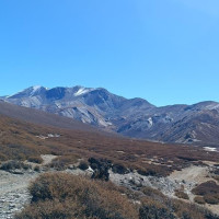 ग्यास अभावको हल्लाले बाजुराका महिला दाउरा सङ्कलनमा जुटे