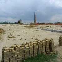 यूपीआर सुझाव कार्यान्वयनमा जोड