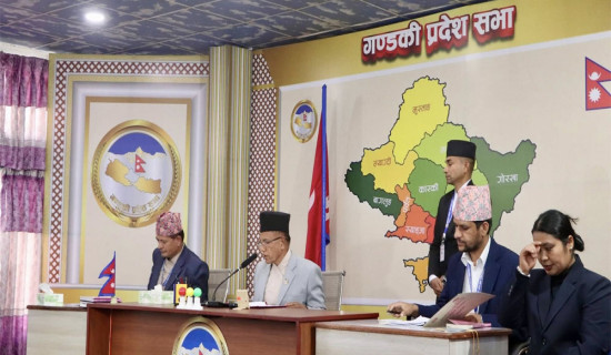 'राज्य जवाफविहीन र मौन देखिन्छ, घटना घट्छ र विस्तारै सेलाउँछ'