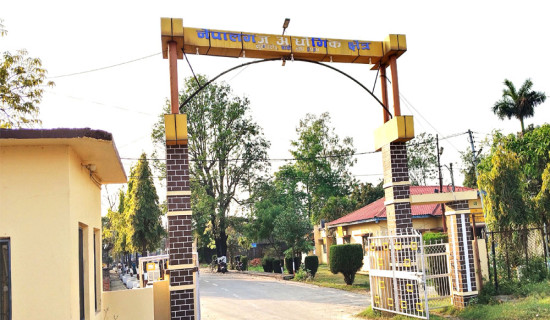 अमेरिकी–इरानी तनाव : ट्रम्पले दिए ४८ घण्टे अल्टिमेटम