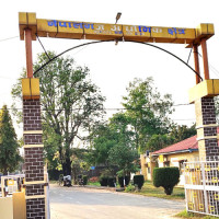 १९ गुँडमा प्रजनन गर्दै लोपोन्मुख गिद्ध