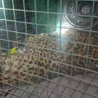 पत्रकारिताको व्यावसायिकता अझ सुदृढ बनाउने प्रतिबद्धता