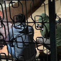 वडाध्यक्षको तरकारीखेती मोह