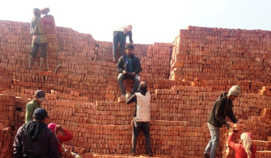 इन्धन र कोइलाको मूल्यवृद्धिसँगै महँगियो इँटा