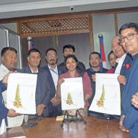 थप ४६ करोडको मागदाबी