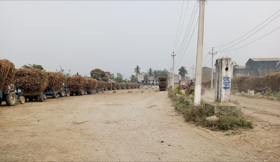 सर्लाहीका तीनवटै चिनी मिल चैतभर सञ्चालनमा रहने