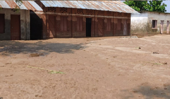 नव जनजागृतिमाथि आर्मीको सहज जित