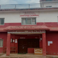 हात्तीको बढ्दो सङ्ख्या नियन्त्रण गर्न थाइल्यान्डको नयाँ उपाय