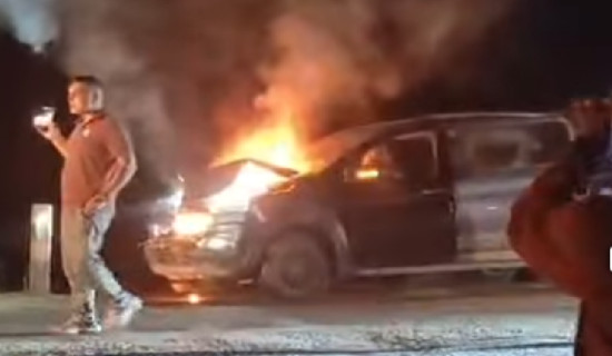 नीतिगत सुधार पर्खंदै टेलिकम कम्पनी