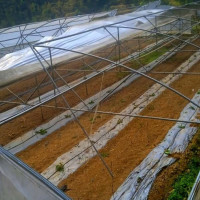 मधेशमा असी नाघेका मतदाता असी हजार