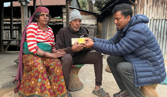 ठूला दल आमसभामा, साना घरदैलोमा