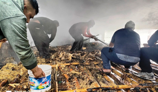 दुई गोठमा आगलागी