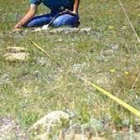 सडक ऐन संशोधन गर्दै गण्डकी सरकार