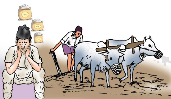 युद्धको प्रभाव रासायनिक मलमा, आपूर्ति असहज हुन सक्ने