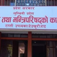 रुकुमपश्चिममा ३९ फरार प्रतिवादी पक्राउ, ७९ रोपनीमा लगाइएको अफिम नष्ट