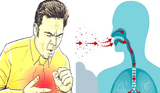 विश्व क्षयरोग दिवसः जनचेतनामूलक कार्यक्रम गरी मनाइँदै