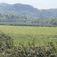 इरान-अमेरिका ओमान वार्ता तयारी