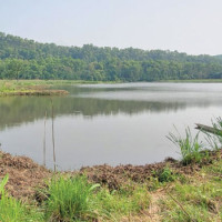 अनुदानको आसाले करको फन्दामा व्यवसायी