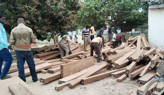 नयाँ र पुराना उम्मेदवारबिच प्रतिस्पर्धा