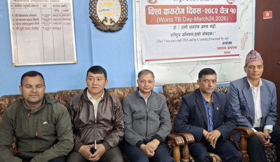 पाल्पामा घटेन क्षयरोगीको सङ्ख्या