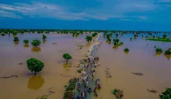 भारी वर्षाका कारण नाइजरमा १७९ जनाको मृत्यु