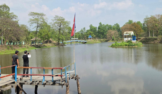 शङ्करबेली सिमसारमा दैनिक हजारौँ पर्यटक