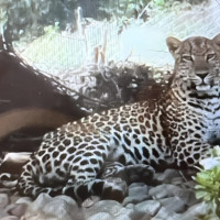 भारतको रक्सौलबाट आठजना नेपाली किशोरको उद्धार