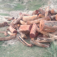 राष्ट्रिय सभा उपाध्यक्षको निर्वाचन हुँदै