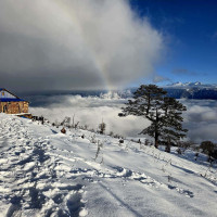 प्रधानमन्त्री कप : पुलिस र बागमती विजयी