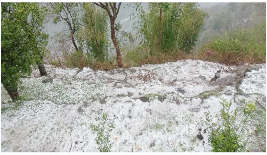 रास्वपा सभापति लामिछानेले तारेखमा कास्की अदालतमा आउन नपर्ने