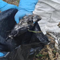 बिमा रकम नपाउँदा डायलाइसिस र आमा सुरक्षा प्रभावित