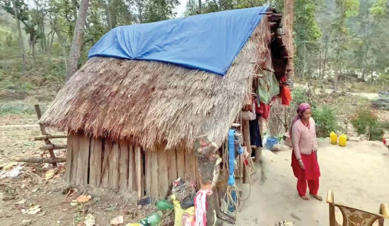 दार्चुला प्रदेशसभा (ख) मा माओवादीका धामी विजयी