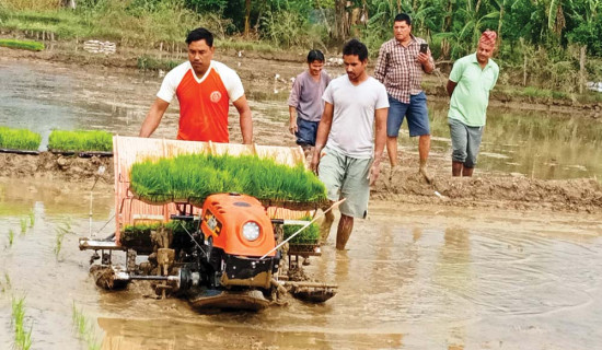 जाजरकोट भूकम्प: रुकुमपश्चिममा ३१ हजारले पाए पहिलो किस्ता