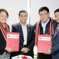 चुली बोक्ने टिप्पर कारबाहीमा