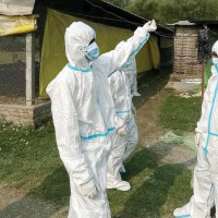 बैजालीको लोभलाग्दो कृषि व्यवसाय