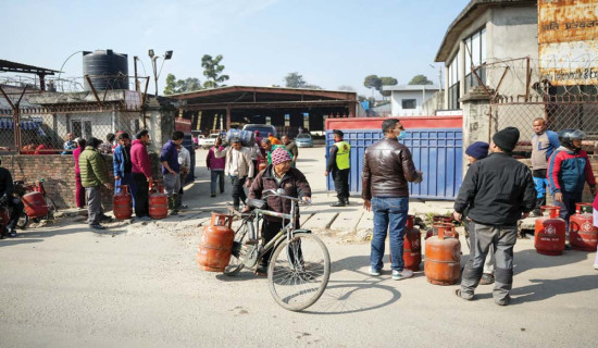 बैजालीको लोभलाग्दो कृषि व्यवसाय
